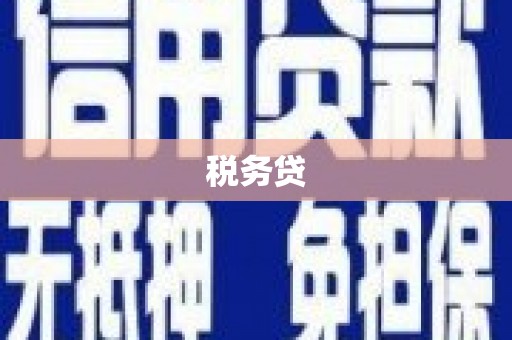 大洼税务贷