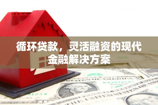 大洼循环贷款，灵活融资的现代金融解决方案