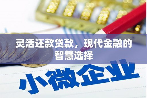 大洼灵活还款贷款，现代金融的智慧选择