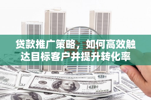大洼贷款推广策略，如何高效触达目标客户并提升转化率