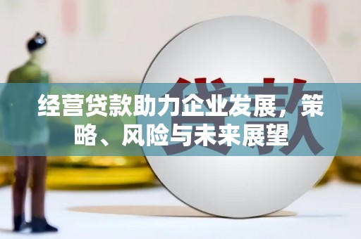 大洼经营贷款助力企业发展，策略、风险与未来展望