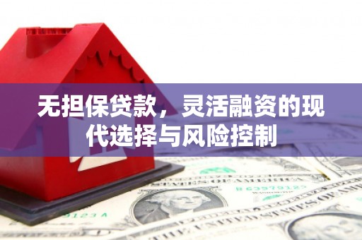 大洼无担保贷款，灵活融资的现代选择与风险控制