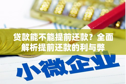 大洼贷款能不能提前还款？全面解析提前还款的利与弊