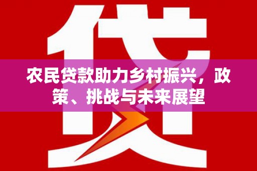 大洼农民贷款助力乡村振兴，政策、挑战与未来展望