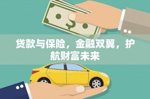 大洼贷款与保险，金融双翼，护航财富未来