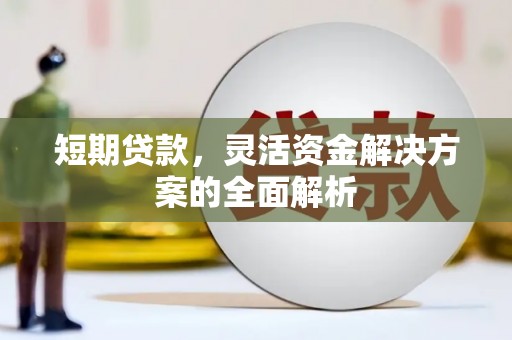大洼短期贷款，灵活资金解决方案的全面解析
