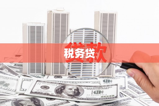 大洼税务贷