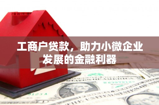 大洼工商户贷款，助力小微企业发展的金融利器