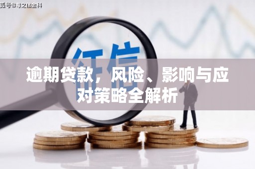 大洼逾期贷款，风险、影响与应对策略全解析