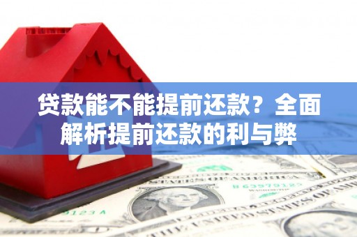 大洼贷款能不能提前还款？全面解析提前还款的利与弊