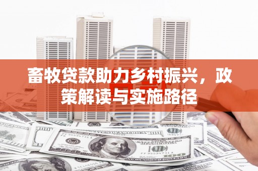 大洼畜牧贷款助力乡村振兴，政策解读与实施路径