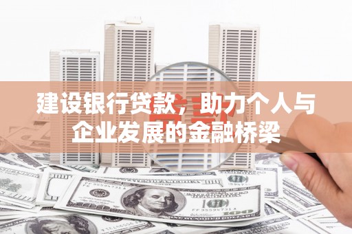 大洼建设银行贷款，助力个人与企业发展的金融桥梁