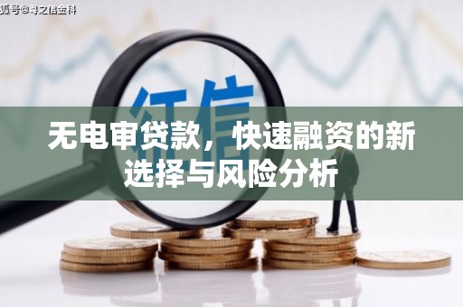 大洼无电审贷款，快速融资的新选择与风险分析