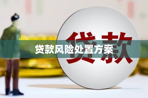 大洼贷款风险处置方案