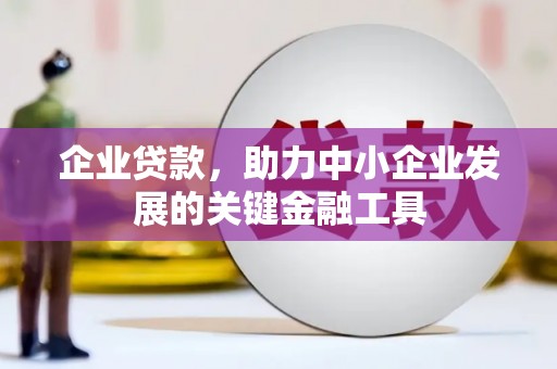 大洼企业贷款，助力中小企业发展的关键金融工具