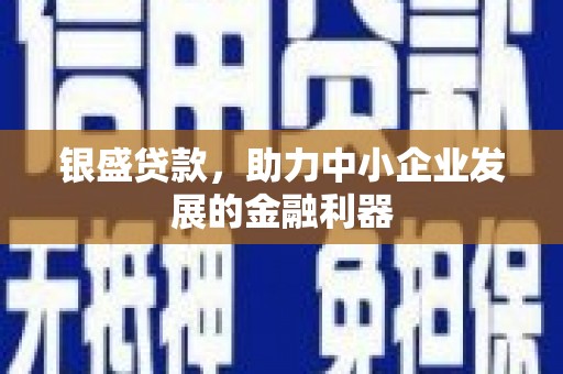 大洼银盛贷款，助力中小企业发展的金融利器