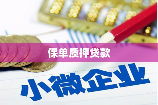 大洼保单质押贷款