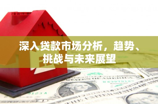 大洼深入贷款市场分析，趋势、挑战与未来展望