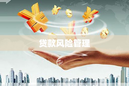 大洼贷款风险管理
