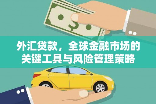 大洼外汇贷款，全球金融市场的关键工具与风险管理策略