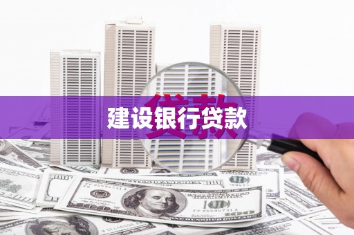 大洼建设银行贷款