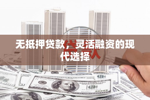 大洼无抵押贷款，灵活融资的现代选择