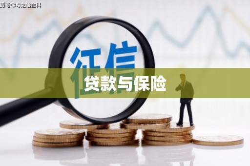 大洼贷款与保险