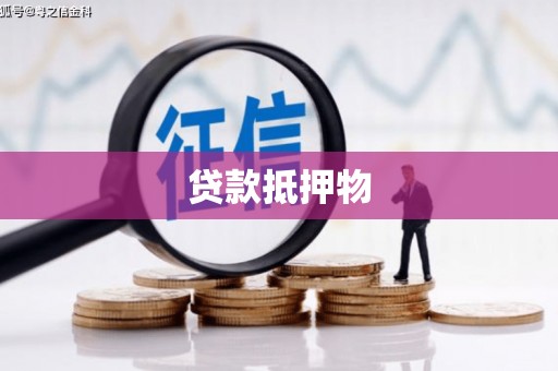 大洼贷款抵押物
