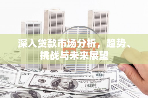 大洼深入贷款市场分析，趋势、挑战与未来展望