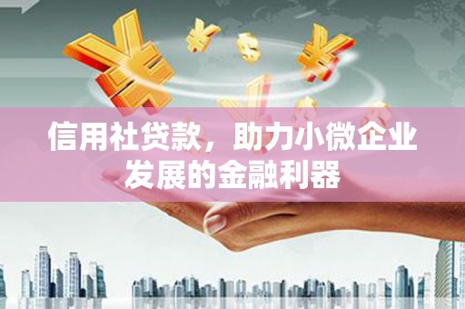 大洼信用社贷款，助力小微企业发展的金融利器