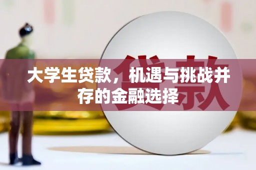 大洼大学生贷款，机遇与挑战并存的金融选择
