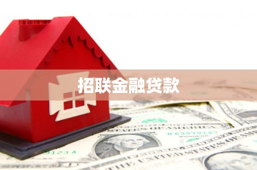 大洼招联金融贷款