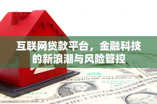大洼互联网贷款平台，金融科技的新浪潮与风险管控