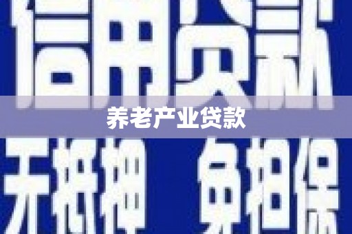 大洼养老产业贷款