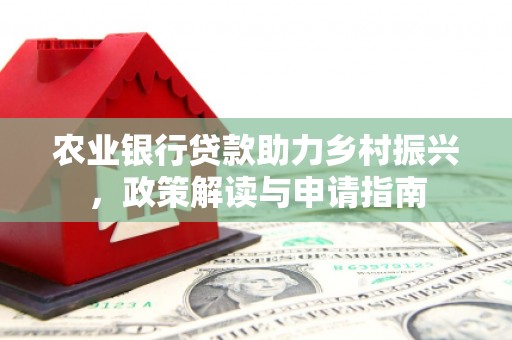 大洼农业银行贷款助力乡村振兴，政策解读与申请指南