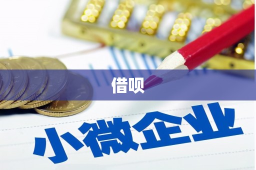 大洼借呗