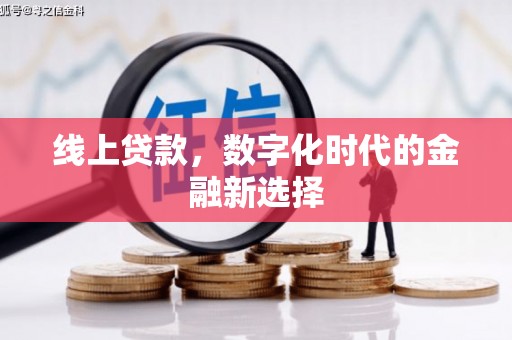 大洼线上贷款，数字化时代的金融新选择
