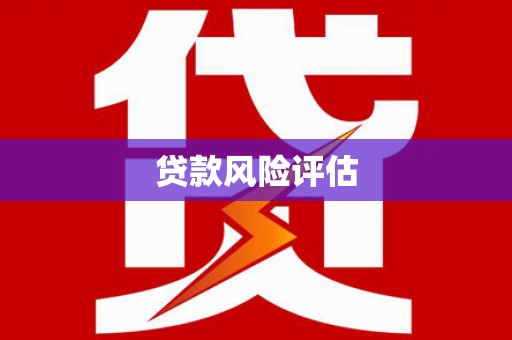 大洼贷款风险评估