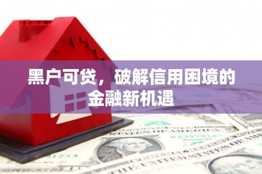大洼黑户可贷，破解信用困境的金融新机遇