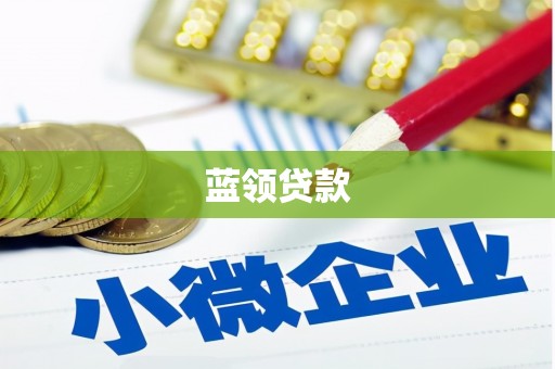大洼蓝领贷款