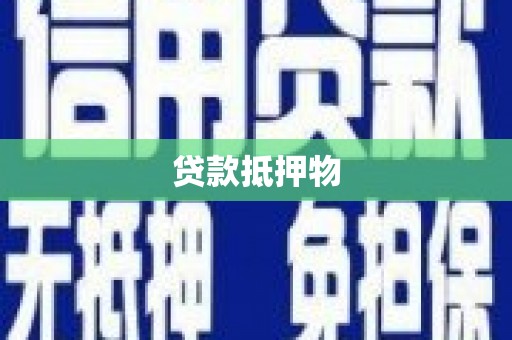 大洼贷款抵押物