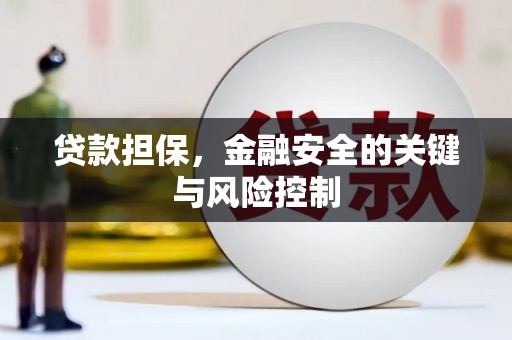 大洼贷款担保，金融安全的关键与风险控制