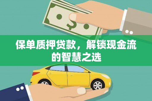 大洼保单质押贷款，解锁现金流的智慧之选