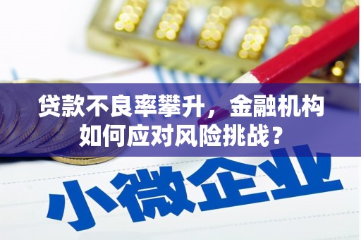 大洼贷款不良率攀升，金融机构如何应对风险挑战？