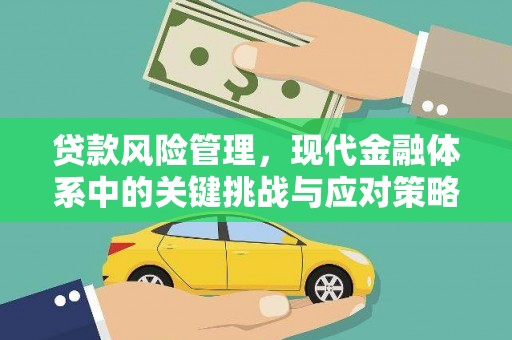 大洼贷款风险管理，现代金融体系中的关键挑战与应对策略