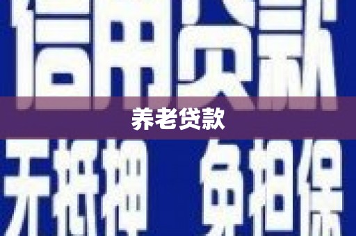 大洼养老贷款