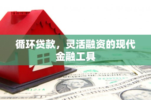 大洼循环贷款，灵活融资的现代金融工具