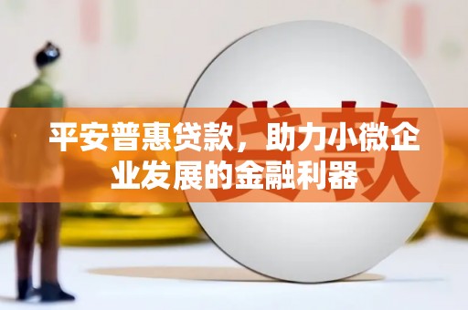 大洼平安普惠贷款，助力小微企业发展的金融利器