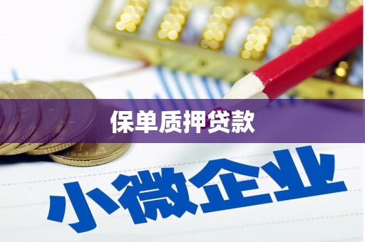 大洼保单质押贷款