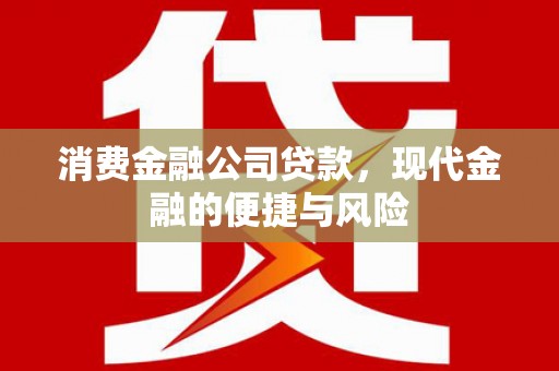 大洼消费金融公司贷款，现代金融的便捷与风险